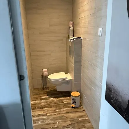 T1